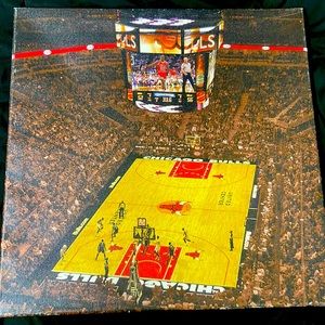 Bulls VS Kings Canvas